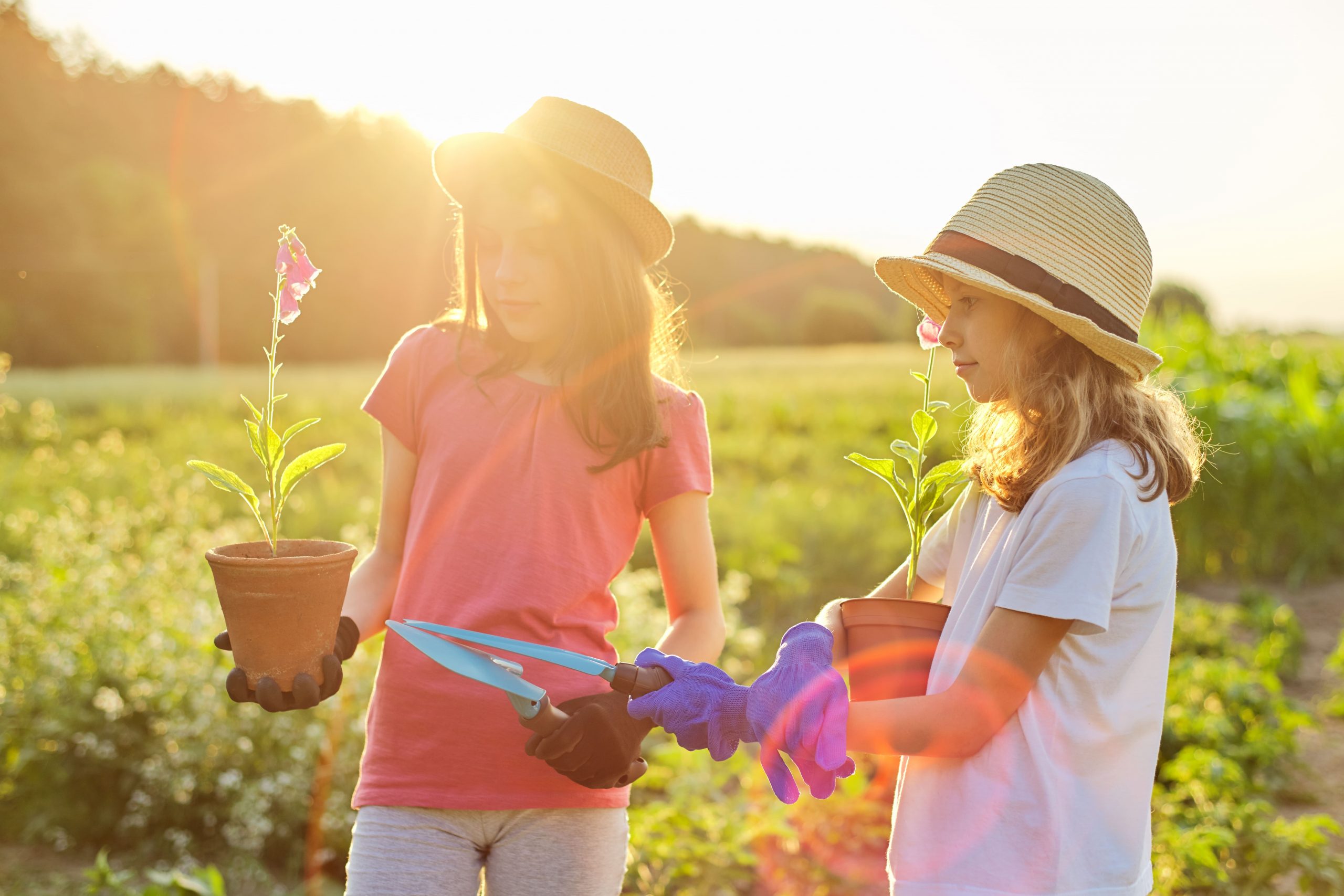 How To Make Your Garden Safe For Kids TRUDY HOLLER