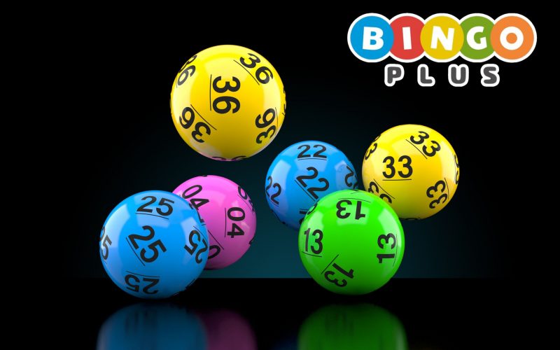 Bingo Plus Logo